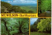 mt wilson   blue mountains
