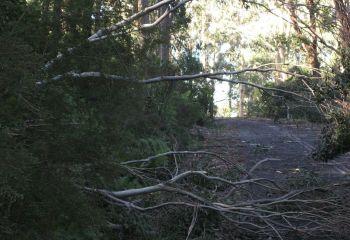 July 2011 Wind Storm at Mt Wilson and Mt Irvine